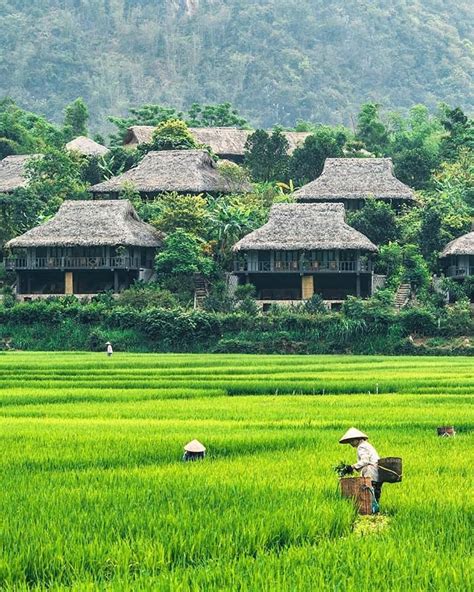 Homestay Mai Châu đẹp | Top 10 homestay Mai Châu view đẹp, đáng để ở - MOTOGO