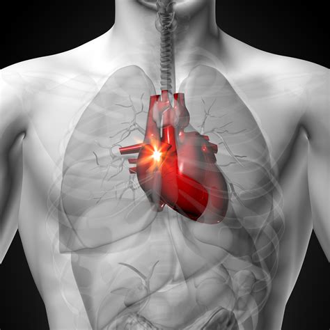 5 Heart Disease Warning Signs to Watch Out For - University Health News