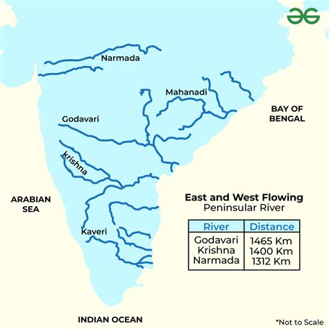 What are the features of east and west flowing rivers of Peninsular plateau? - GeeksforGeeks