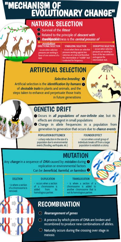 Mechanism of Evolutionary Change