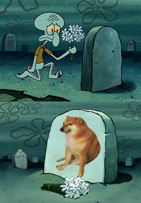 RIP Cheems : r/BikiniBottomTwitter