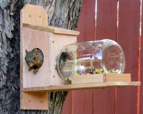 47 Squirrel feeder ideas | squirrel feeder, squirrel, squirrel feeders