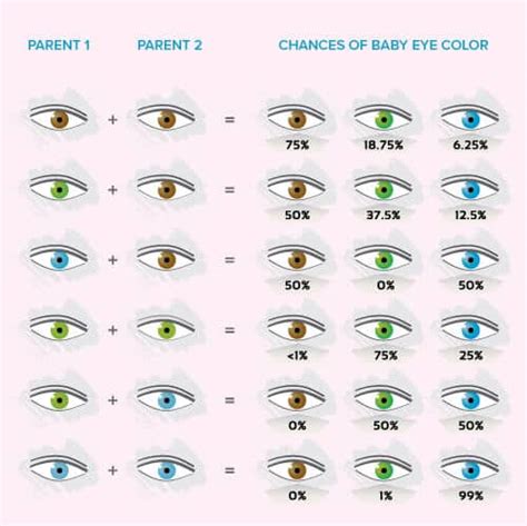 8 best eye color chart genetics images in 2020 eye color chart eye ...