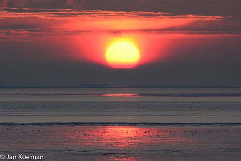 12 smaken van de zon - Natuurfotografie