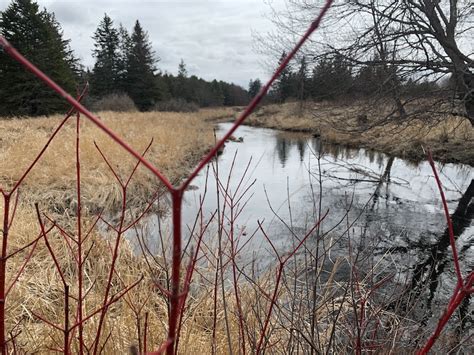 Togus VA Medical Center Trails, Augusta - Maine by Foot