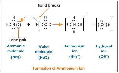 Ion Formation – Beinyu.com