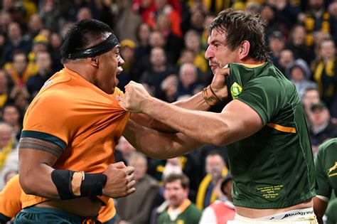 WATCH: Springboks & Wallabies in a heated scuffle after Makazole ...