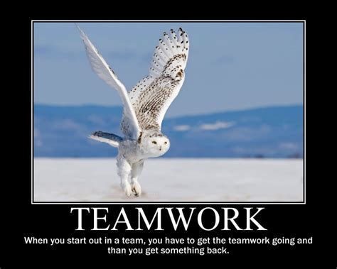 Image Quetes 13: Teamwork Quotes