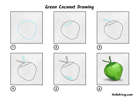 Green Coconut Drawing - HelloArtsy