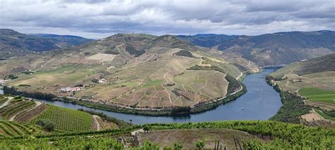 Vineyards Landscapes Douro River - Free photo on Pixabay - Pixabay