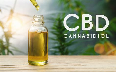 What is Cannabidiol? 7 Benefits and Uses of CBD Oil - Nature & Beyond