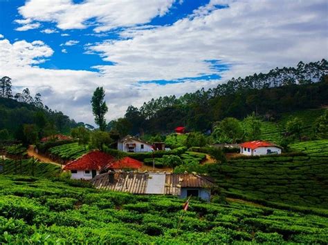 Top 15 Must Visit Munnar Tourist Places | Munnar Insider Travel Blog