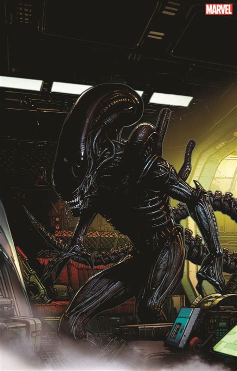 Xenomorph Vs Predator