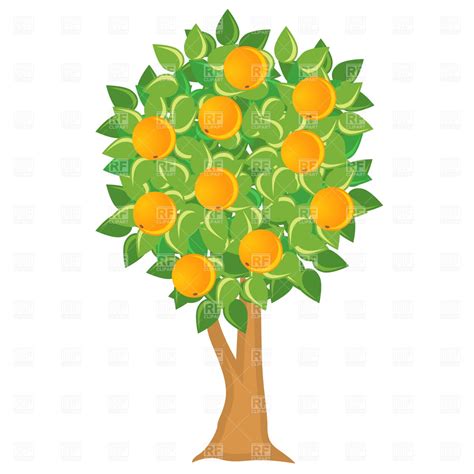 Orange tree clipart 20 free Cliparts | Download images on Clipground 2019