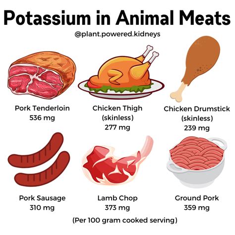 Low Potassium Meats & Fish for a Renal Diet