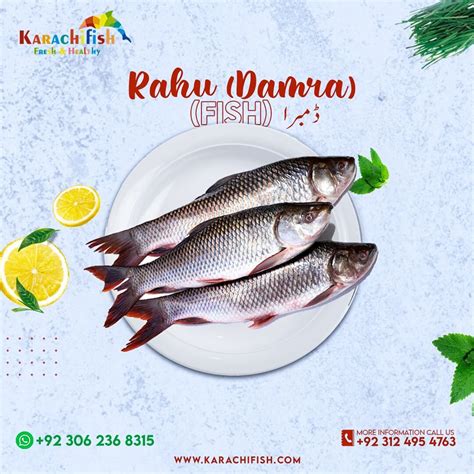 Rahu | Karachi Fish