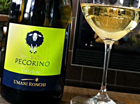 Pecorino Wine: Wait...What? I Thought Pecorino Was a Cheese | Italian wine, Pecorino, Wine