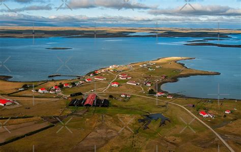 "Goose Green, Falkland Islands." by Terry Mooney | Redbubble