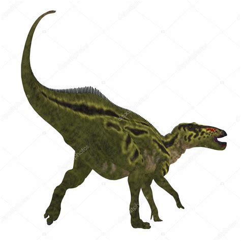 Shantungosaurus Dinosaur Tail — Stock Photo © CoreyFord #124333744