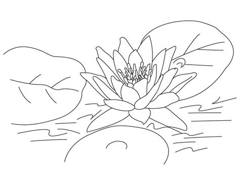 Lotus Coloring Pages to Print Minion Coloring Pages, Leaf Coloring Page, Printable Flower ...