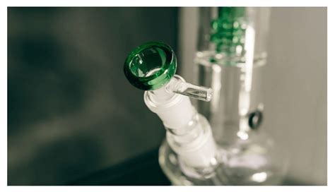 Reaching New Highs: The Best Glass Bongs on the Market - Hinterland Gazette