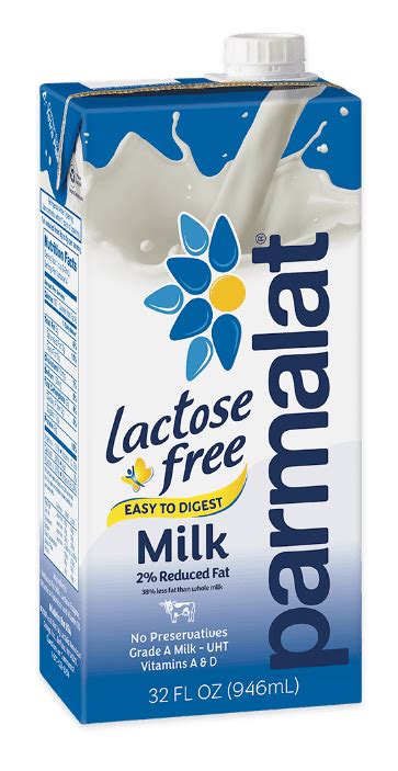 10 Lactose-Free Milk Brands That Taste Delicious - Soocial