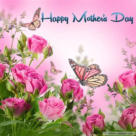 Beautiful Mothers Day Cards with Pink Flowers and Butterflies