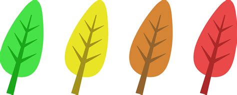 Colored Autumn Tree Leaves - Free Clip Art