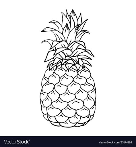 Pineapple cartoon sketch hand drawn isolated Vector Image