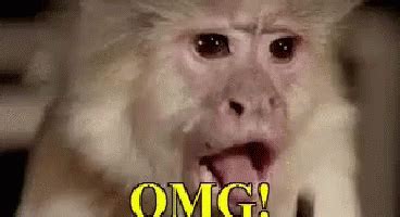 Popular Omg Monkey GIF - Monkey Omg - Discover & Share GIFs