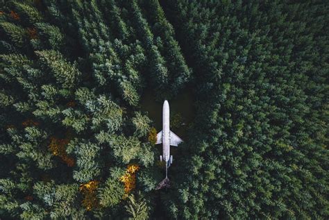 aerial view, nature, Oregon, wreck, forest, trees, drone, landscape ...