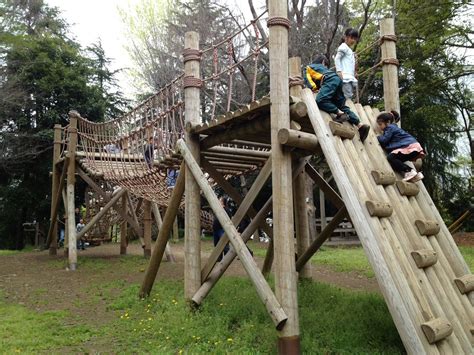 outdoor obstacle courses for kids - Google Search | Natural playground, Backyard obstacle course ...