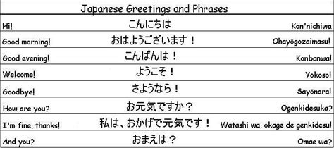 Common Japanese Phrases to Help you Around Japan | Japanese phrases ...