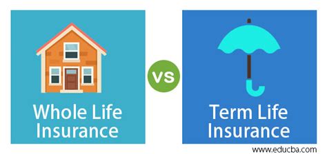 Whole Life Insurance vs Term Life Insurance | Top 4 Amazing Differences