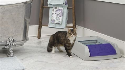 5 self-cleaning litter boxes for when you're tired of cleaning up cat poop