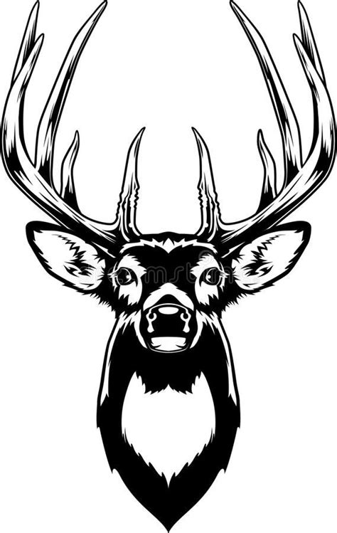 720+ Whitetail Buck SVG