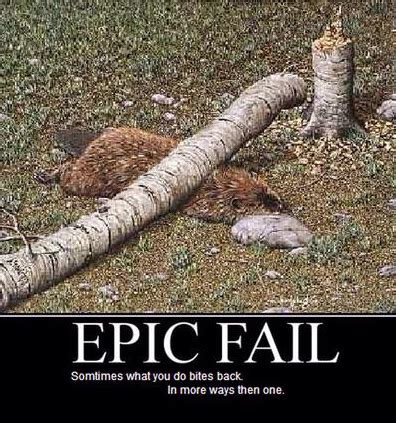 9 Epic Fail Memes That Will Make Your Day - Meta Meme App