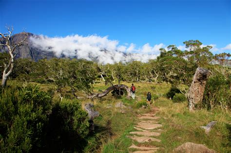 The best Long Distance Hiking Trails in Reunion Island | Outdooractive