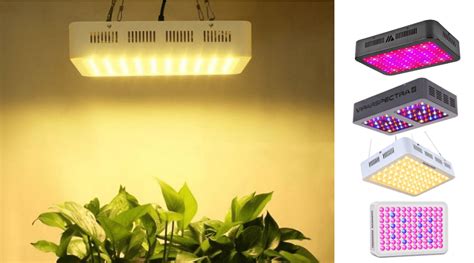 Best Full Spectrum LED Grow Light Reviews 2019