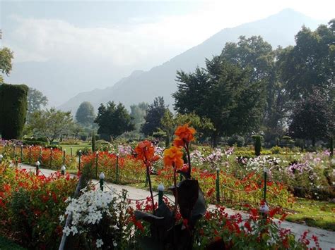 Mughal Gardens (Srinagar) - 2018 All You Need to Know Before You Go (with Photos) - TripAdvisor ...