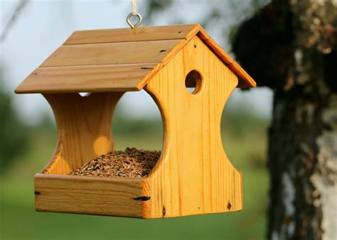 Brown Wooden Bird House Hanging on Tree · Free Stock Photo