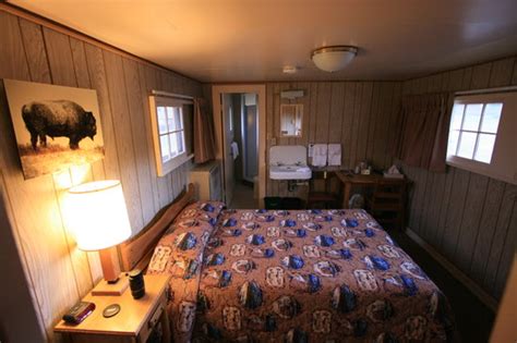 Lake Lodge Cabins (Yellowstone National Park): What to Know BEFORE You Bring Your Family