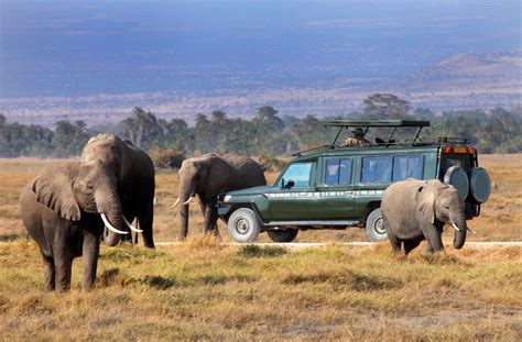 What to expect on a Kenyan Safari - Travel Moments In Time - travel itineraries, travel guides ...
