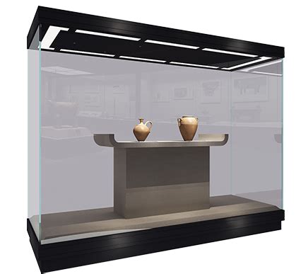 museum glass display case | Glass display case, Museum display cases, Glass cabinets display