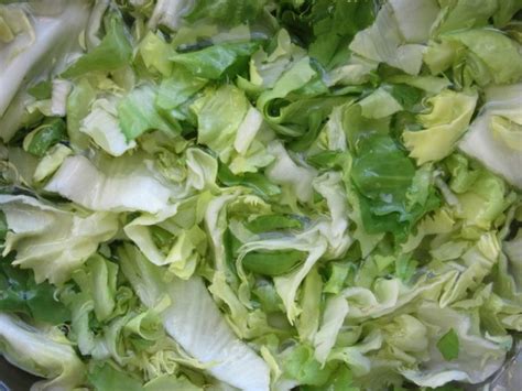 Growing Endive, Planting, Care, Harvesting - A Full Guide | Gardening Tips