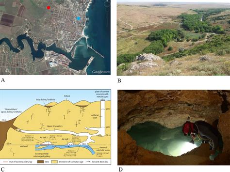 Location of Movile Cave near Mangalia (south eastern Romania). (A)... | Download Scientific Diagram