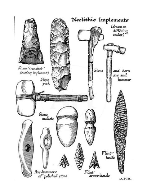 Pin by namratha leona raj on Isma | Stone age tools, Stone age, Neolithic