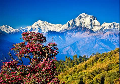 Himalayas Wallpaper (69+ images)