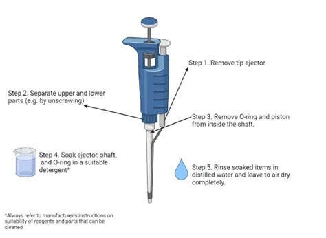 Cleaning Pipettes: An Easy Guide to When and How