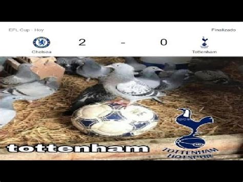 MEMES CHELSEA 2 TOTTENHAM 0 CARABAO CUP - YouTube